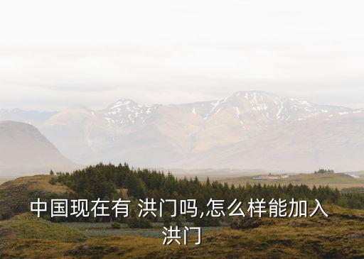 洪門致公堂,回顧:中國致公黨的前身