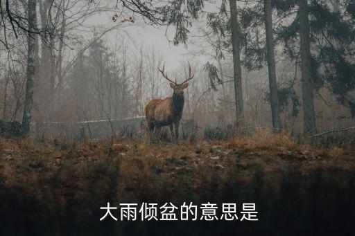  大雨傾盆的意思是