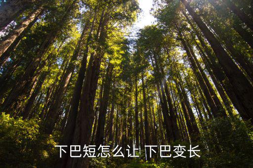  下巴短怎么讓 下巴變長