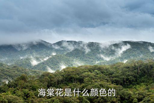 海棠花是什么顏色的