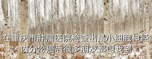 在重慶市腫瘤醫(yī)院檢查出是小細(xì)胞神經(jīng)內(nèi)分泌癌后很多朋友都叫我到