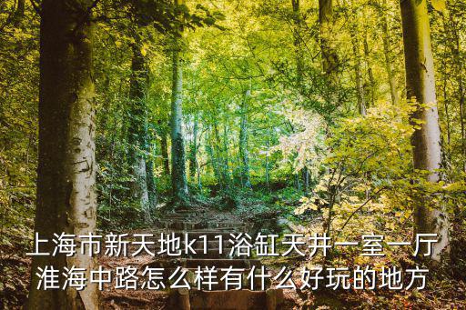 上海市新天地新里1樓中庭，跪求上海松拓專賣店地址
