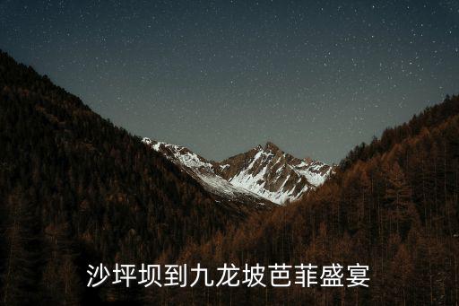 沙坪壩到九龍坡芭菲盛宴