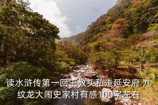 讀水滸傳第一回王教頭私走延安府 九紋龍大鬧史家村有感100字左右