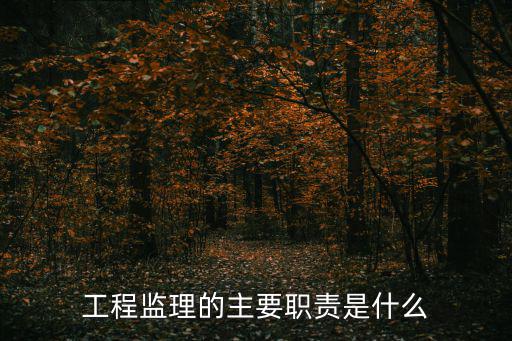 工程監理的主要職責是什么