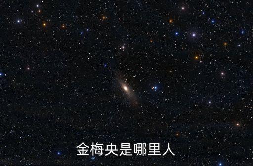 金梅央是哪里人