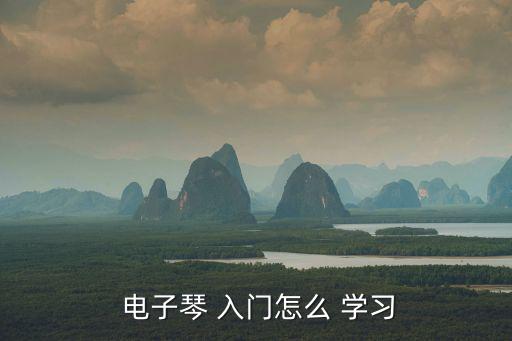  電子琴 入門怎么 學習