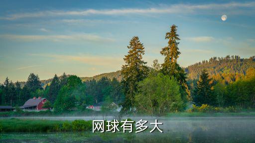 網(wǎng)球有多大