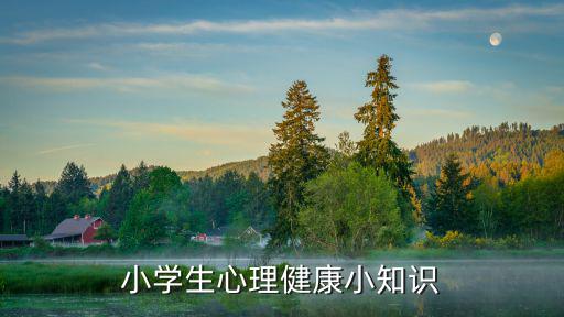 小學生心理健康小知識