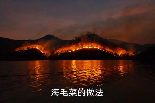 海毛菜的做法