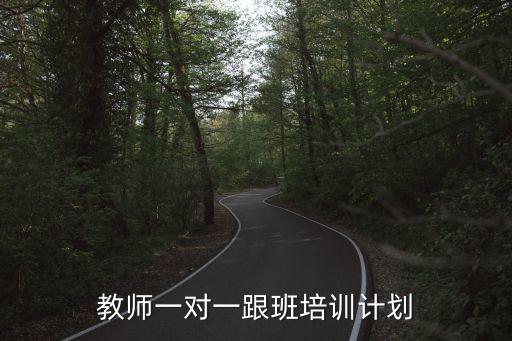 教師一對一跟班培訓計劃