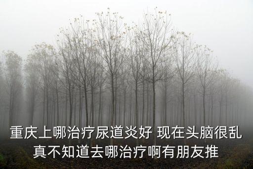 重慶上哪治療尿道炎好 現在頭腦很亂真不知道去哪治療啊有朋友推