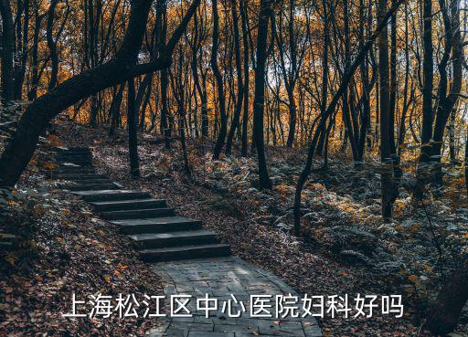上海松江區中心醫院婦科好嗎