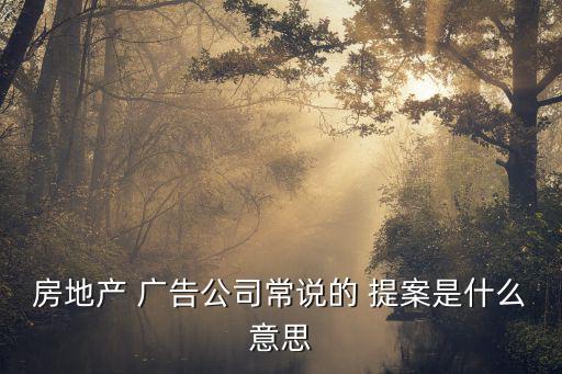 房地產 廣告公司常說的 提案是什么意思