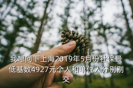 上海市2019年5月起社保個人繳費，我想問下上海2019年5月份社保最低基數4927元個人和單位人分別別交