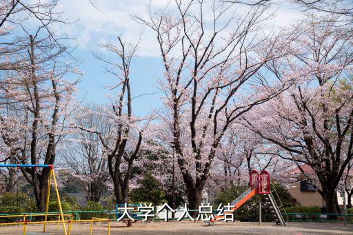 大學(xué)個人總結(jié)