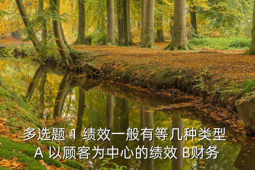 多選題 1 績效一般有等幾種類型 A 以顧客為中心的績效 B財務