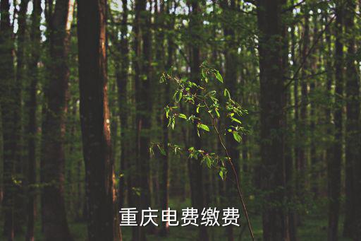 重慶市電需要交入戶費(fèi)嗎，重慶合川區(qū)電表入戶應(yīng)該交多少錢