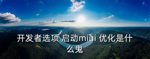 開發者選項 啟動miui 優化是什么鬼