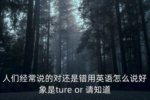 錯英文，我錯了用英語怎么寫