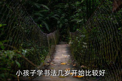 小學(xué)書法，小學(xué)書法課的注意事項(xiàng)和基本要求