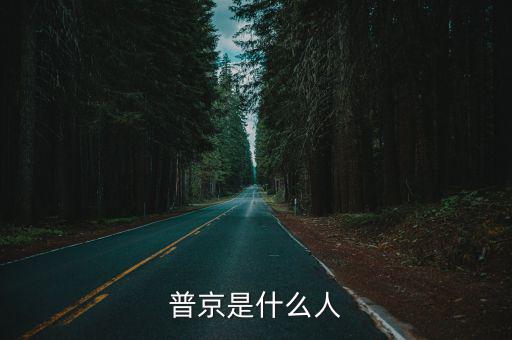 普京是什么人