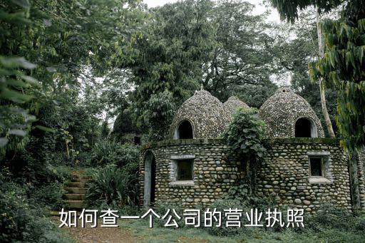 如何查一個公司的營業執照