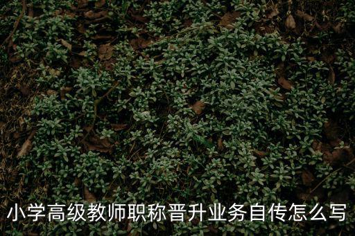 小學(xué)高級(jí)教師職稱(chēng)晉升業(yè)務(wù)自傳怎么寫(xiě)