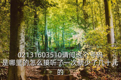 02131603510請(qǐng)問這個(gè)號(hào)碼是哪里的怎么接聽了一次就少了幾十元的