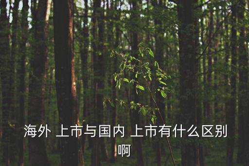  海外 上市與國內(nèi) 上市有什么區(qū)別啊