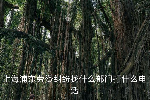 上海浦東新區勞動仲裁電話多少，浦東新區勞動仲裁委員會南匯庭地址和電話