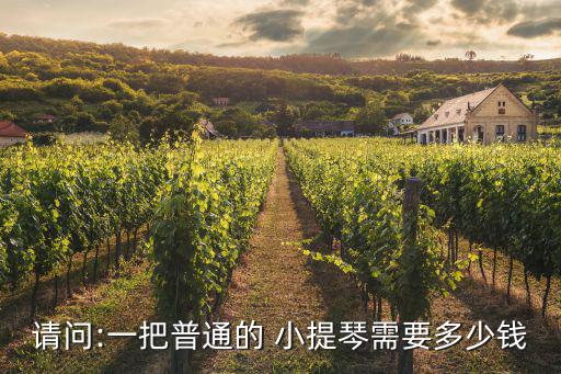 小提琴多少錢,專業(yè)組選手用的是幾十萬甚至更貴的音樂器