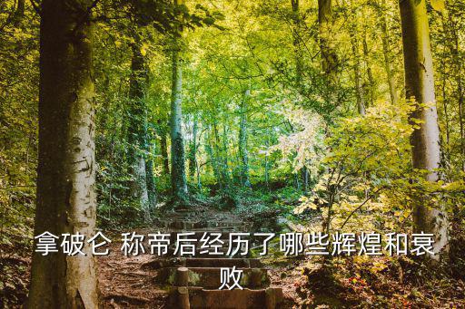  拿破侖 稱帝后經歷了哪些輝煌和衰敗
