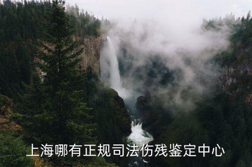 上海哪有正規(guī)司法傷殘鑒定中心