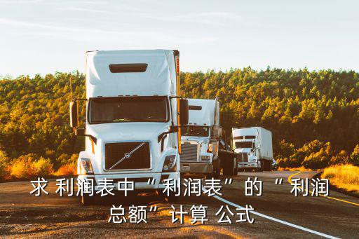利潤總額公式,利潤-2總額的計算公式