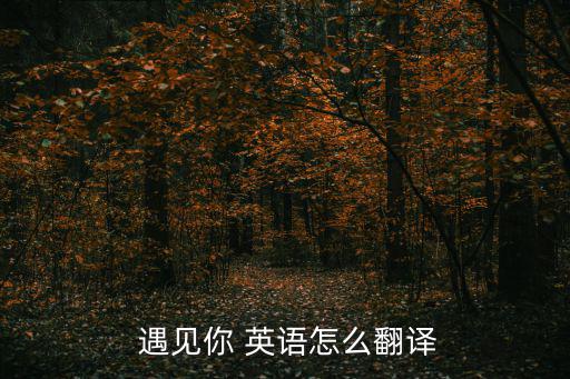  遇見你 英語怎么翻譯