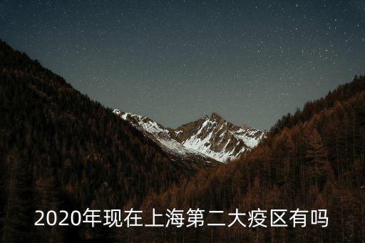 2020年現(xiàn)在上海第二大疫區(qū)有嗎