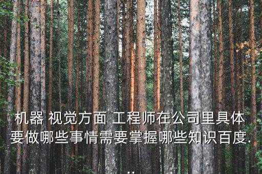 機器 視覺方面 工程師在公司里具體要做哪些事情需要掌握哪些知識百度...