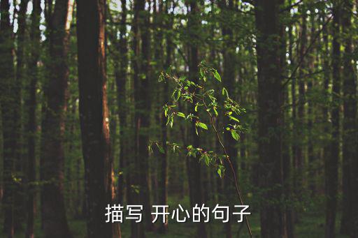 描寫 開心的句子