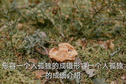 形容一個人孤獨(dú)的成語形容一個人孤獨(dú)的成語介紹