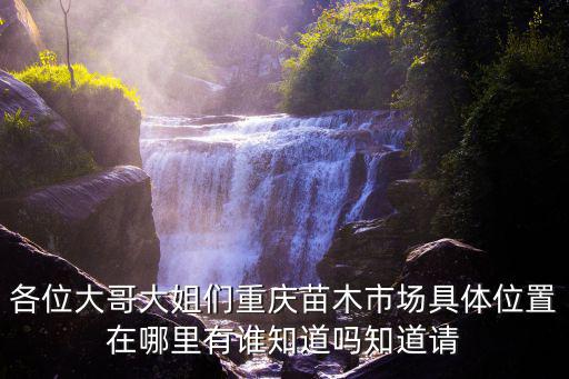 各位大哥大姐們重慶苗木市場具體位置在哪里有誰知道嗎知道請