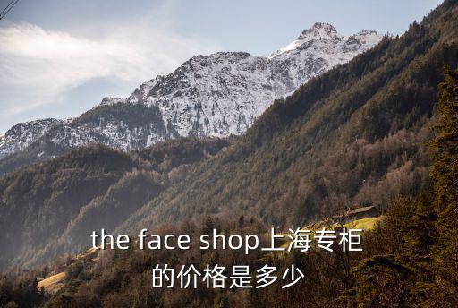 the face shop上海專柜的價格是多少