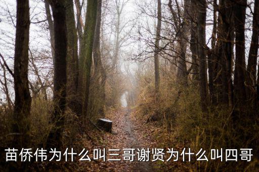 苗僑偉為什么叫三哥謝賢為什么叫四哥