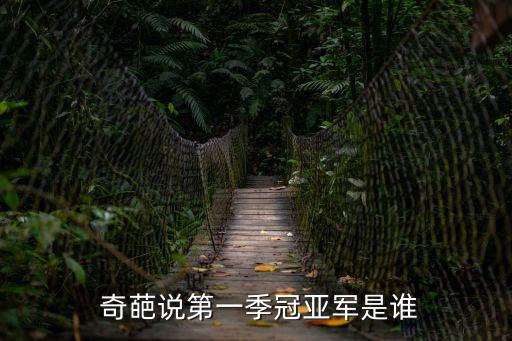  奇葩說第一季冠亞軍是誰