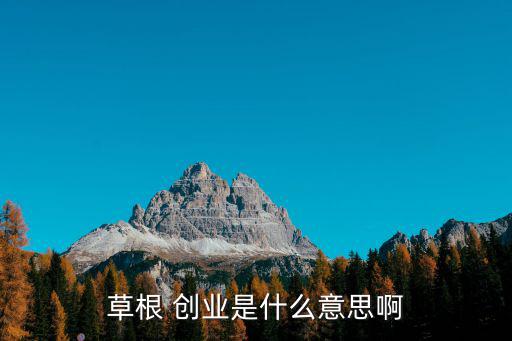 草根 創(chuàng)業(yè)是什么意思啊