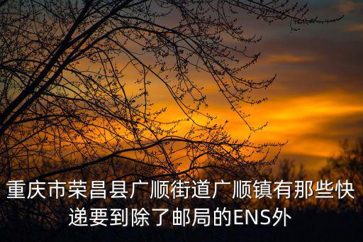 重慶市榮昌縣廣順街道廣順鎮有那些快遞要到除了郵局的ENS外