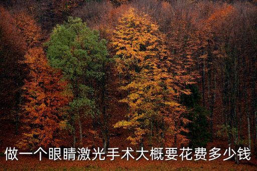 做一個(gè)眼睛激光手術(shù)大概要花費(fèi)多少錢