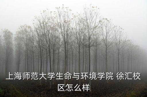 上海師范大學(xué)生命與環(huán)境學(xué)院 徐匯校區(qū)怎么樣