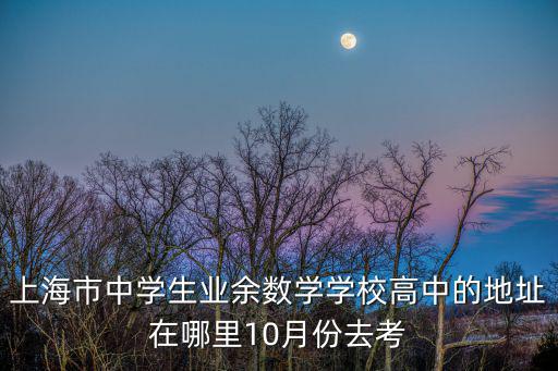 上海市中學(xué)生業(yè)余數(shù)學(xué)學(xué)校高中的地址在哪里10月份去考