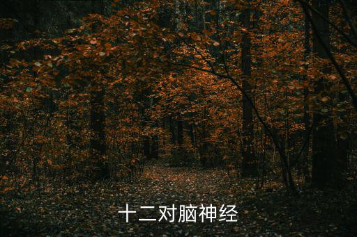 12對(duì)腦神經(jīng)口訣，十二對(duì)腦神經(jīng)的簡(jiǎn)寫背誦口訣